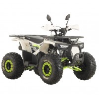 Квадроцикл бензиновый Spark SP125-9 (White)