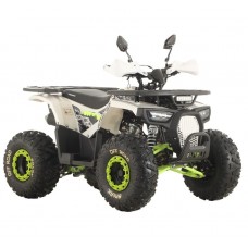  Квадроцикл бензиновый Spark SP125-9 (White)