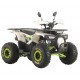Квадроцикл бензиновый Spark SP125-9 (White)