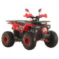 Квадроцикл бензиновый Spark SP125-9 (Red)