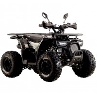 Квадроцикл бензиновый Spark SP125-9 (Black)