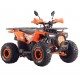 Квадроцикл бензиновый Spark SP125-9 (Orange)