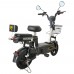  Электровелосипед SPARK VOLT 14 48V/400W/12Ah (Black)