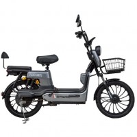 Электровелосипед SPARK RIDER 14" 48V/500W/20Ah grey