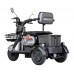  Электроскутер трехколесный Maxxter ANT LI (Gray)