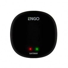  Универсальный Интернет шлюз ENGO EGATEZB
