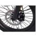 Электровелосипед Maxxter Trice (gray) Электровелосипед Maxxter Trice (gray)